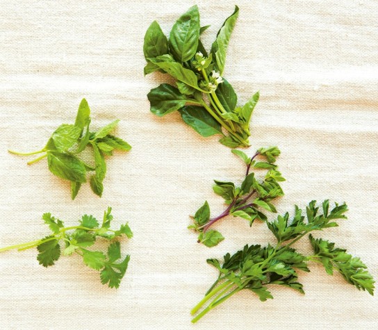 8 New Ways to Use Spring Herbs