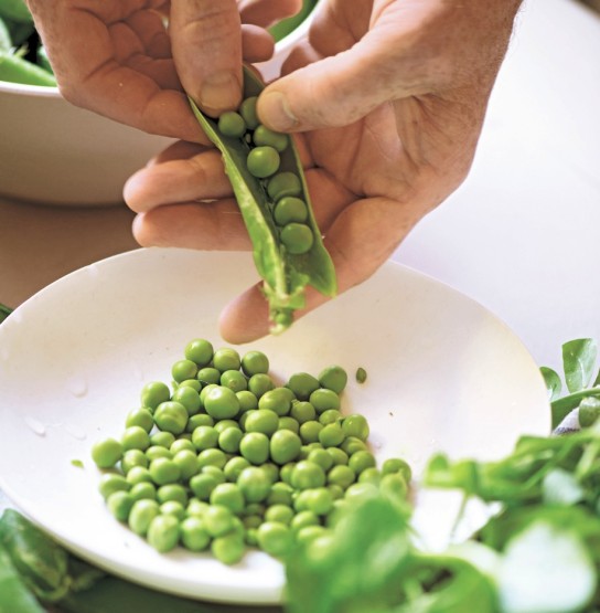 Ingredient Spotlight: Peas