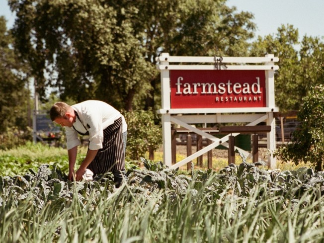 Wine Country Spotlight: Chef Stephen Barber of Farmstead at Long Meadow Ranch