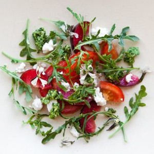 Heirloom Tomato and Plum Salad with Raspberry Vinaigrette, Goat Cheese and Arugula Pesto