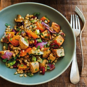 Wheat Berries with Roasted Parsnips, Butternut Squash & Dried Cranberries