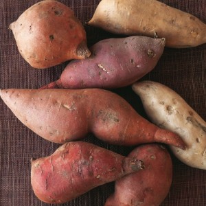 Ingredient Spotlight: Sweet Potatoes
