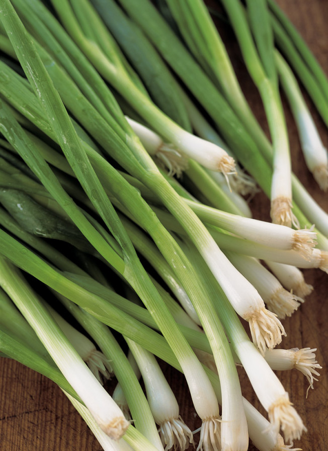 Ingredient Spotlight: Green Onions