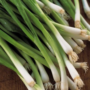 Ingredient Spotlight: Green Onions