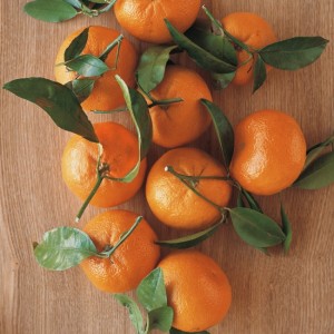 Ingredient Spotlight: Tangerines & Mandarins
