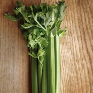 Ingredient Spotlight: Celery