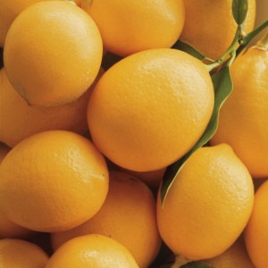 Ingredient Spotlight: Lemons