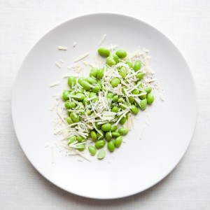 Ingredient Spotlight: Fava Beans