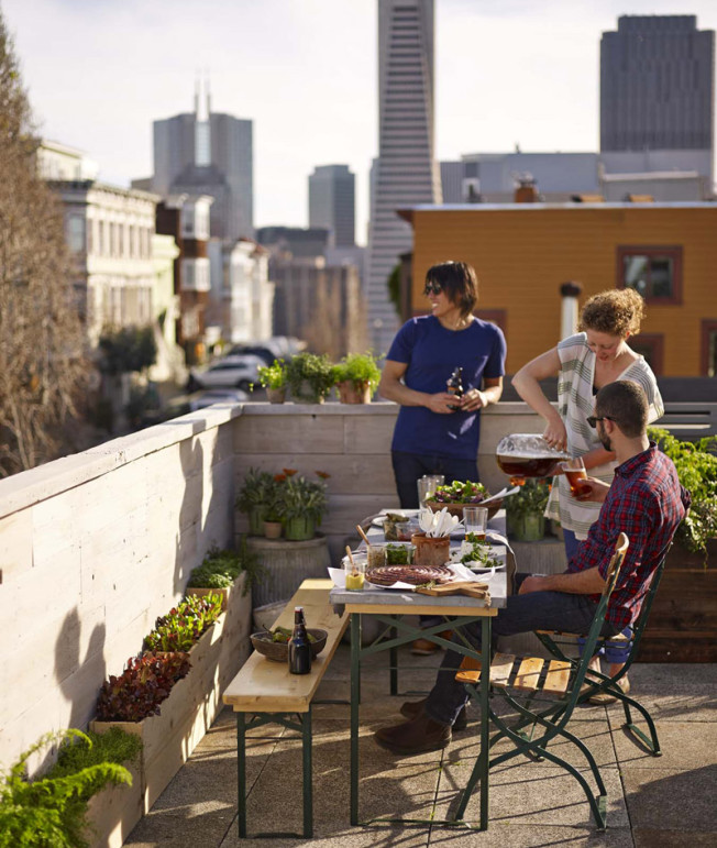 7 Expert Tips for Rooftop Gardening