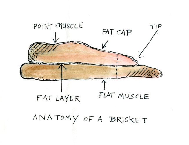 Anatomy of a Brisket