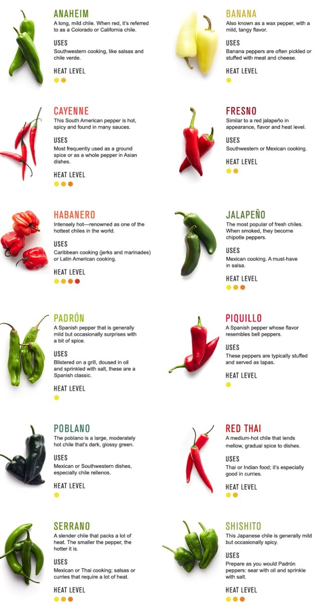 Spice It Up: Chiles 101