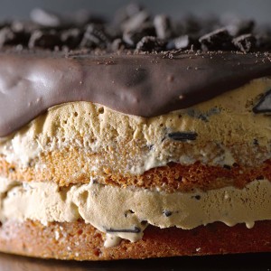 Cookies and Cream-Mocha Chip Ice Cream Cake