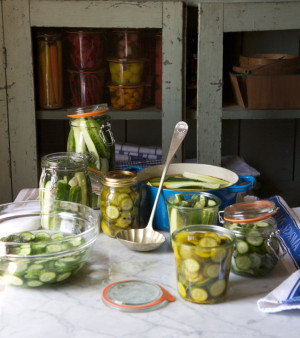 Expert Pickling Tips: Karen Solomon of Jam It, Pickle It, Cure it