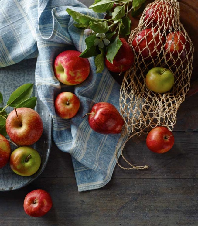 Free Technique Classes: Celebrating the Harvest - Apples