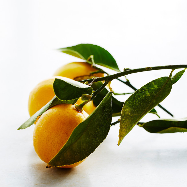What Is a Meyer Lemon
