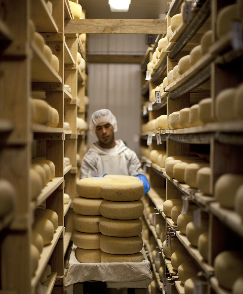 About Point Reyes Farmstead Cheese Company | Williams Sonoma Taste