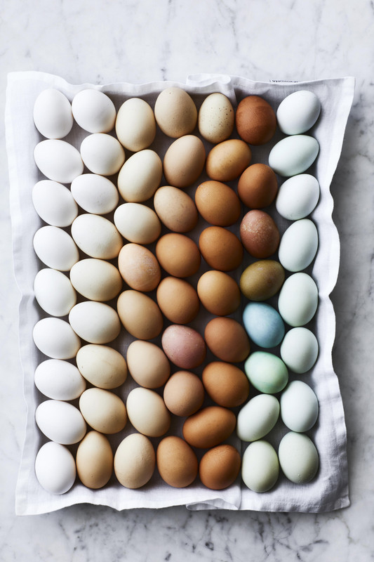 Food News: How to Buy the Best Eggs at the Market