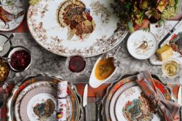 plymouth turkey dinnerware