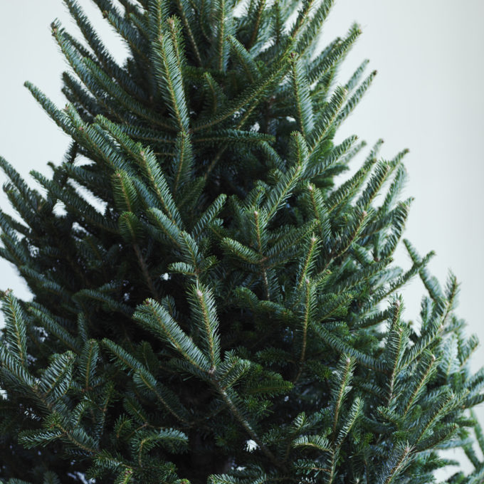 How to Decorate a Christmas Tree - Easily and Evenly