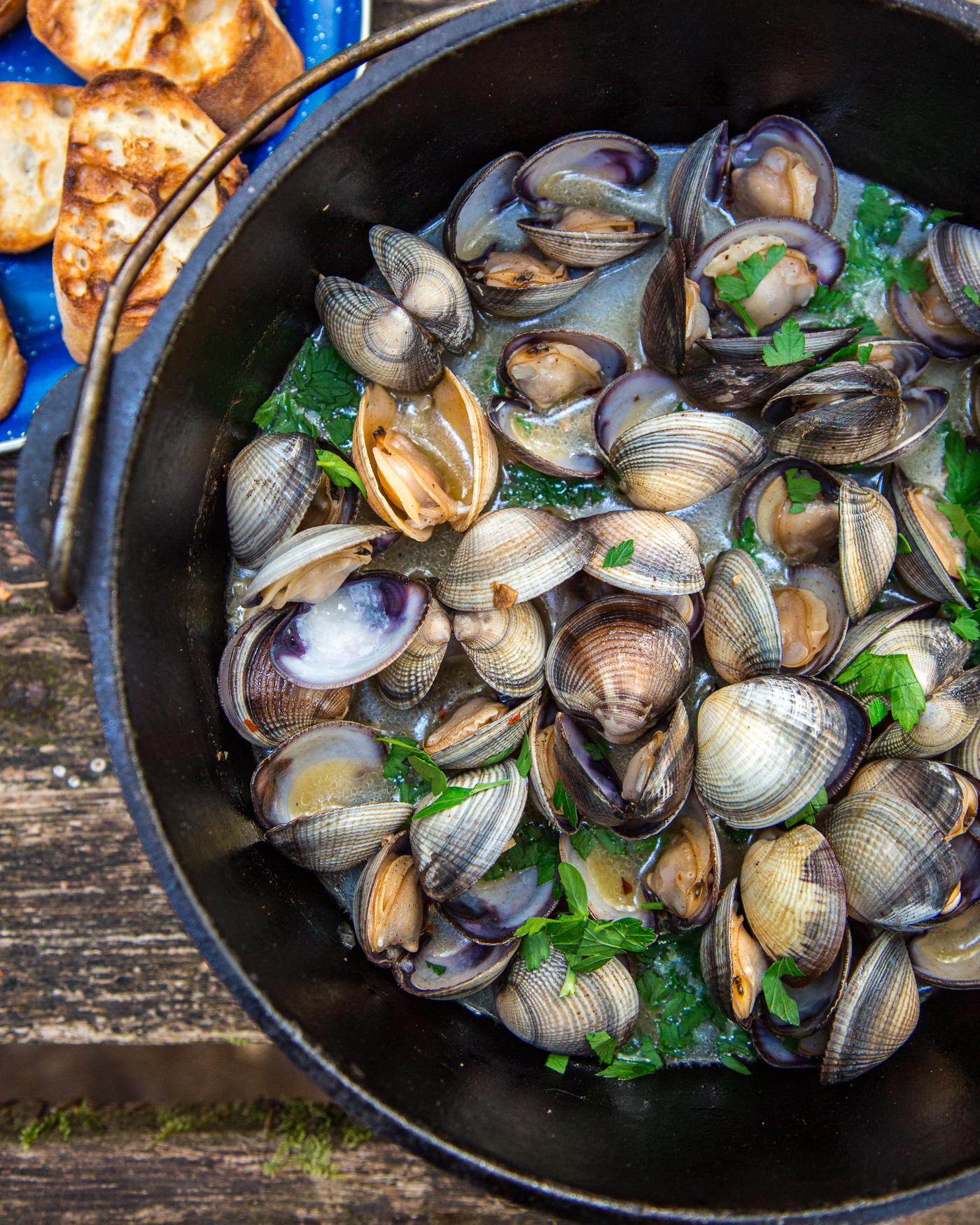 White Wine Steamed Clams_Fresh Off the Grid